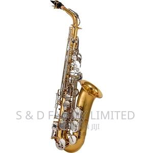 Selmer Advanced Student Saxophone - thumbnail 2