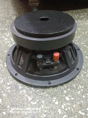 10 Inch Midrange Speaker