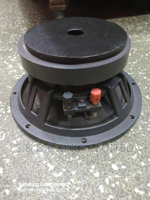 10 Inch Midrange Speaker