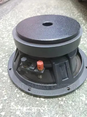 10 Inch Midrange Speaker