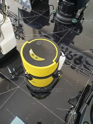20L Carpet Cleaner