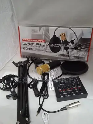 Condenser Microphone Set +V8 Sound Card Amplifier Voice Chan