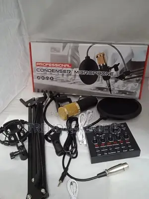 Condenser Microphone Set +V8 Sound Card Amplifier Voice Chan