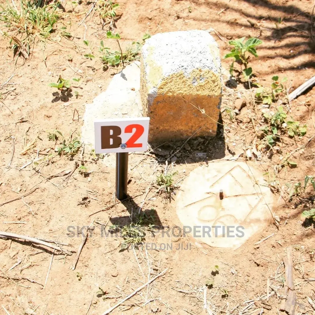 1/4 Acre Plots on Sale at Kuruwitu/Vipingo Ridge
