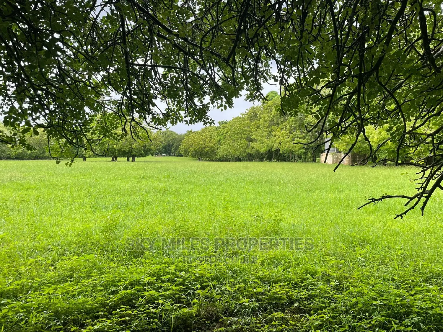 1/4 Acre Plots on Sale at Kuruwitu/Vipingo Ridge