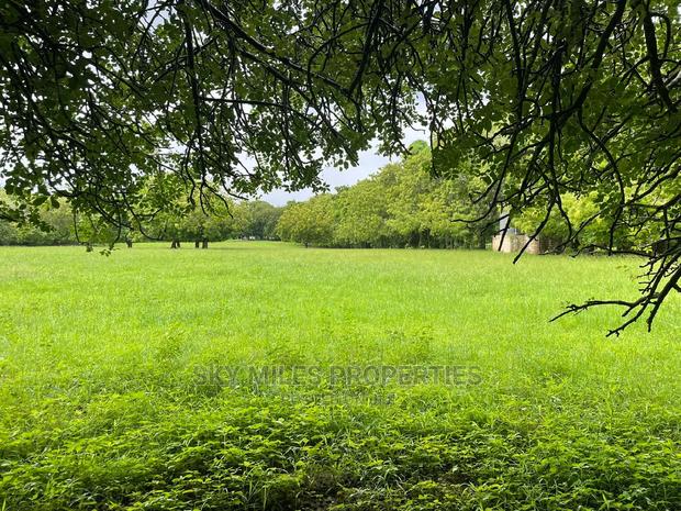 1/4 Acre Plots on Sale at Kuruwitu/Vipingo Ridge - thumbnail 10