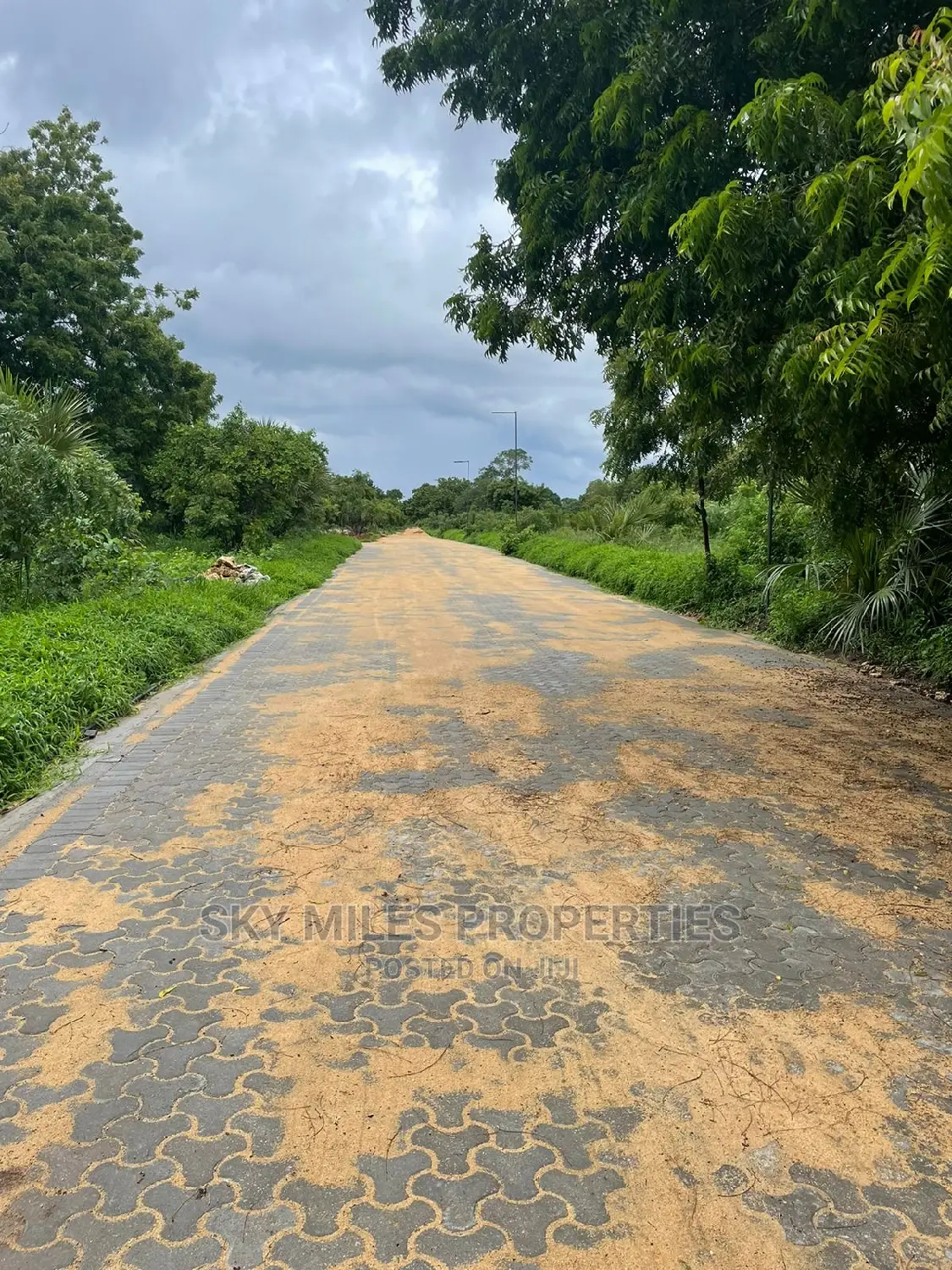 1/4 Acre Plots on Sale at Kuruwitu/Vipingo Ridge