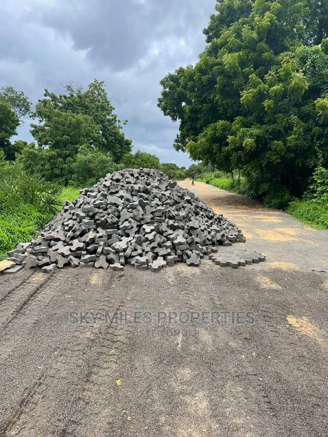 1/4 Acre Plots on Sale at Kuruwitu/Vipingo Ridge