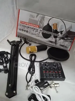 V8 Sound Cardcondenser Microphone Set