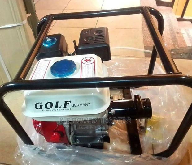 Gasoline Golf Concrete Vibrator - main view