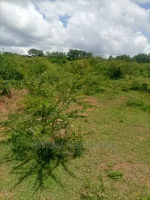 6 Acres Available for Sale at Mbiuni, Machakos County.