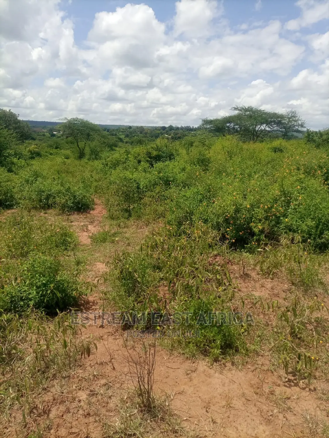 6 Acres Available for Sale at Mbiuni, Machakos County.