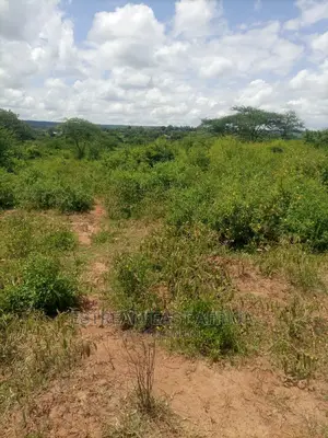6 Acres Available for Sale at Mbiuni, Machakos County.