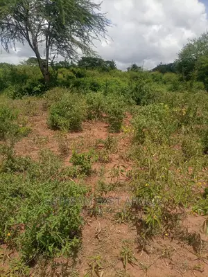 6 Acres Available for Sale at Mbiuni, Machakos County.