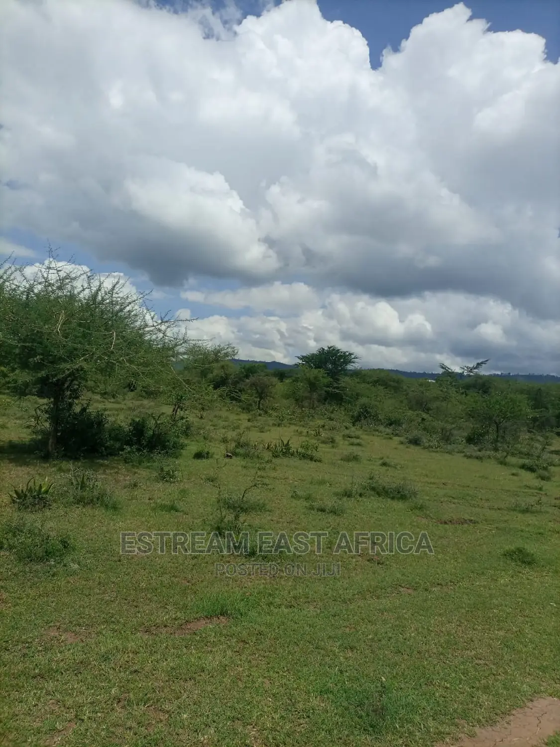 6 Acres Available for Sale at Mbiuni, Machakos County.