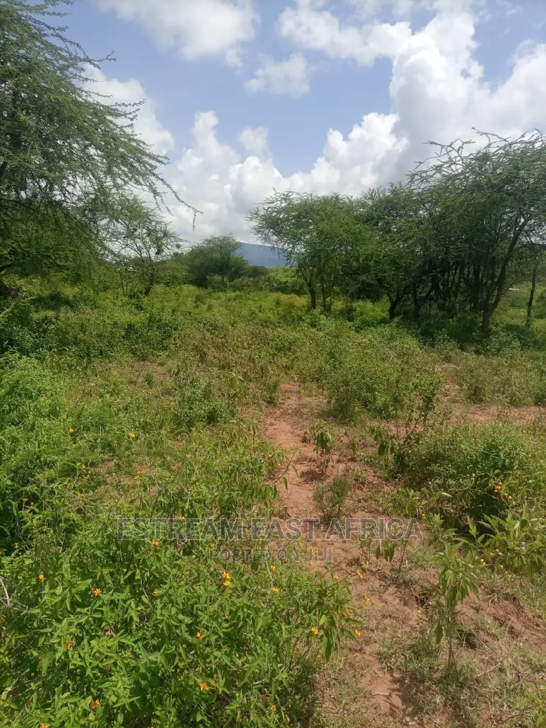 6 Acres Available for Sale at Mbiuni, Machakos County.