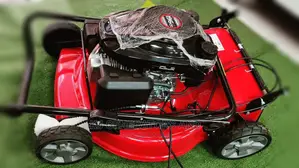 Lawn Buster