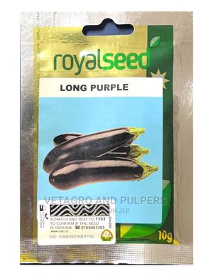 Royal Long Purple Eggplant Seeds - main view