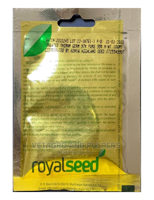 Royal Long Purple Eggplant Seeds - thumbnail 2