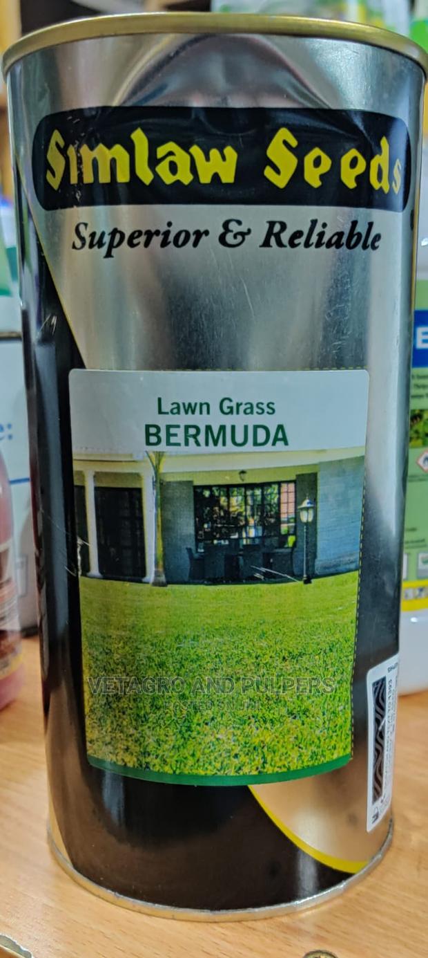 Simlaw Seeds Lawn Grass Bermuda - main view