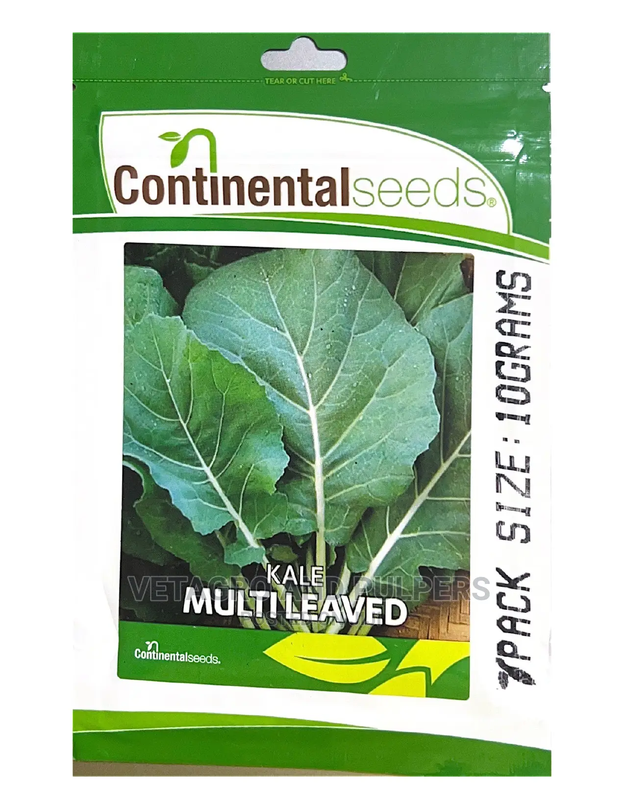 Continental Kale Multileaves (Sukuma Wiki)