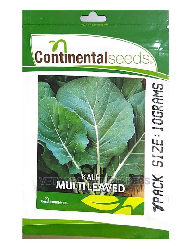 Continental Kale Multileaves (Sukuma Wiki)