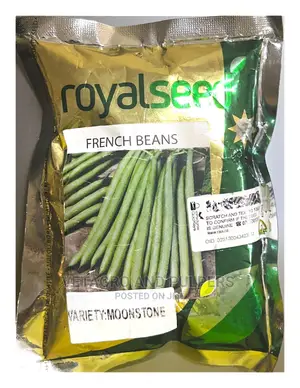 Royal French Beans (Mishiri)