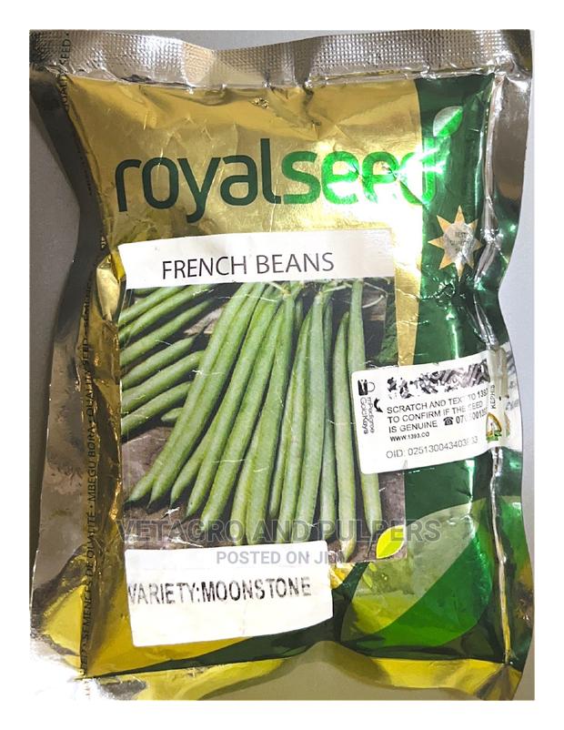 Royal French Beans (Mishiri)