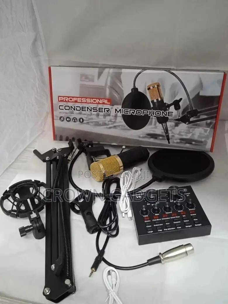 Bm800 Professional Condenser Studio Microphone V8 Sound