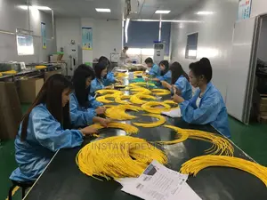 SC To SC Single Mode Patch Cord 10 Meters