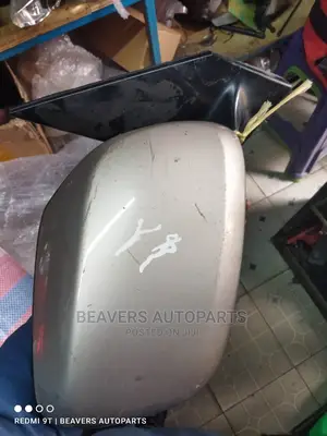 Lexus Side Mirror