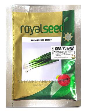 Bunching Onion/Spring Onion - main view