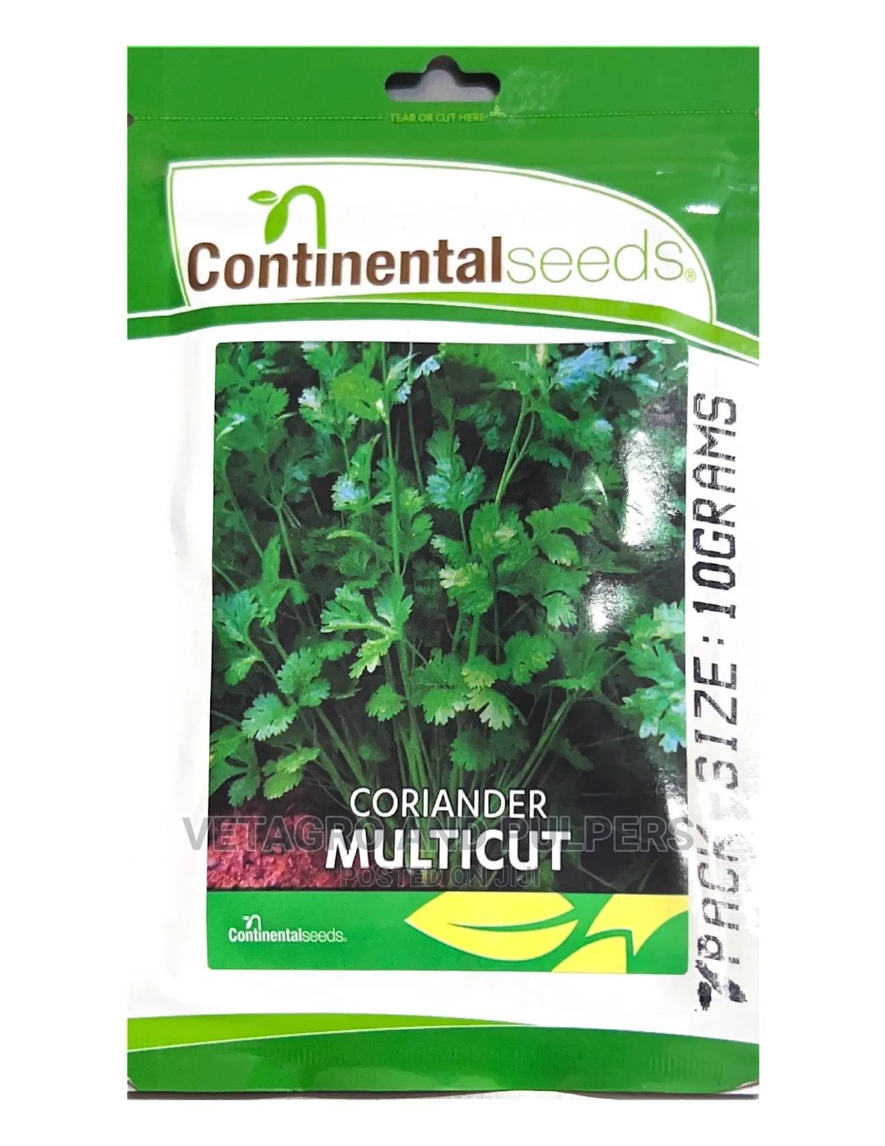 Coriander Multicut (Dhania)
