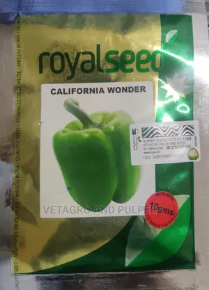 California Wonder Capsicum (Hoho)