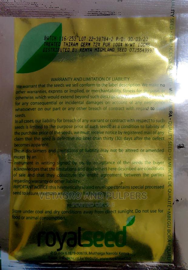 California Wonder Capsicum (Hoho) - thumbnail 2