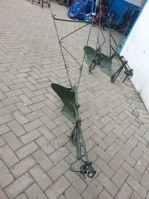 Oxen Towed Plough