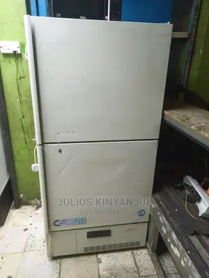 Commercial Upright Freezer