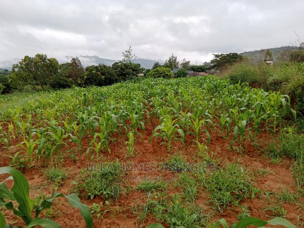 1 and 3/4 Acres at Kwa Mutisya ,Machakos.20 Metres Tarmac - thumbnail 3