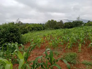 1 Acre at Maanzoni,Kwa Mutisya,Machakos. 20metres FRM Tarma