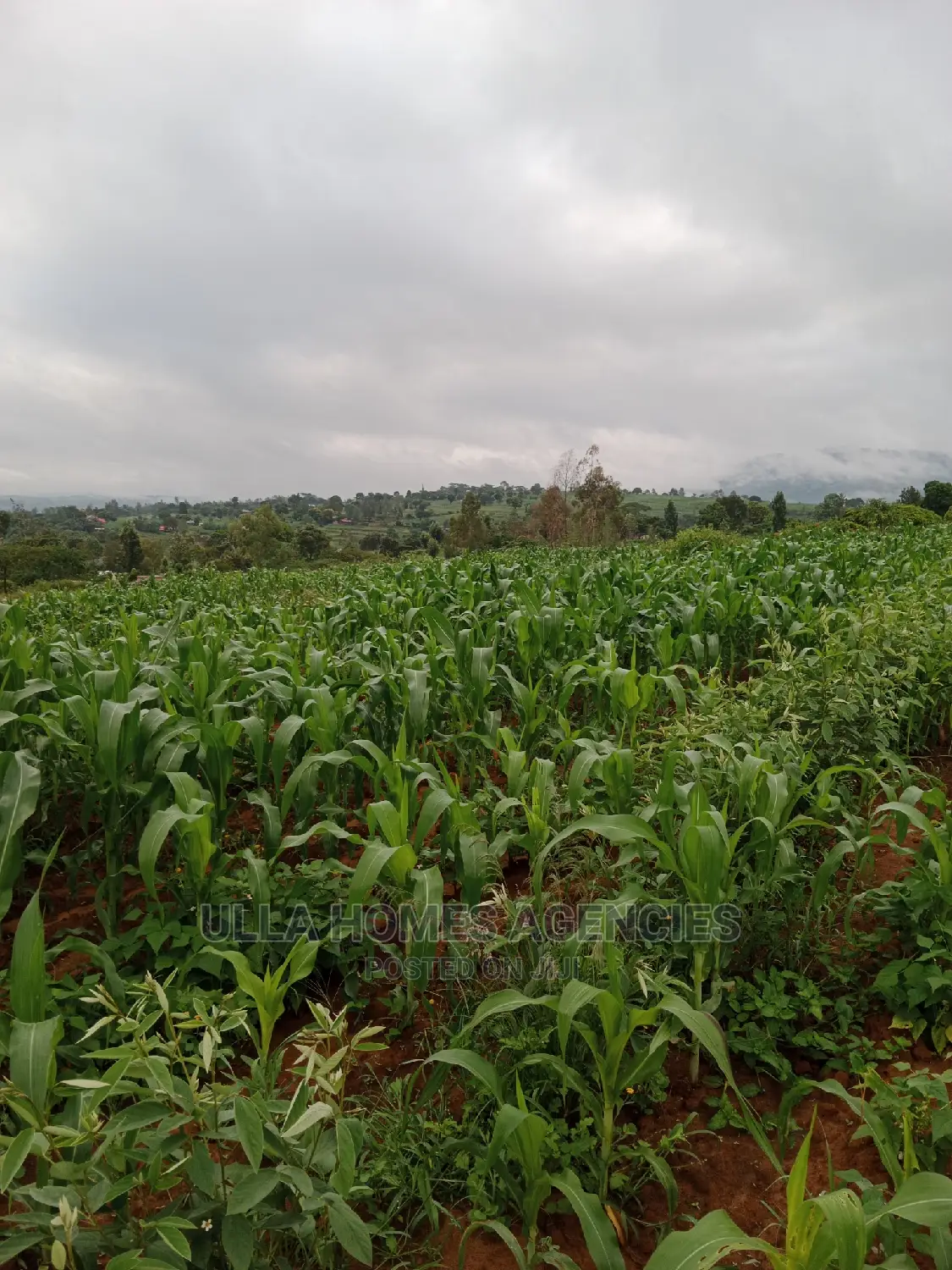 Quater Acre at Miwani Kimutwa, Machakos,Near Miwani Pri School