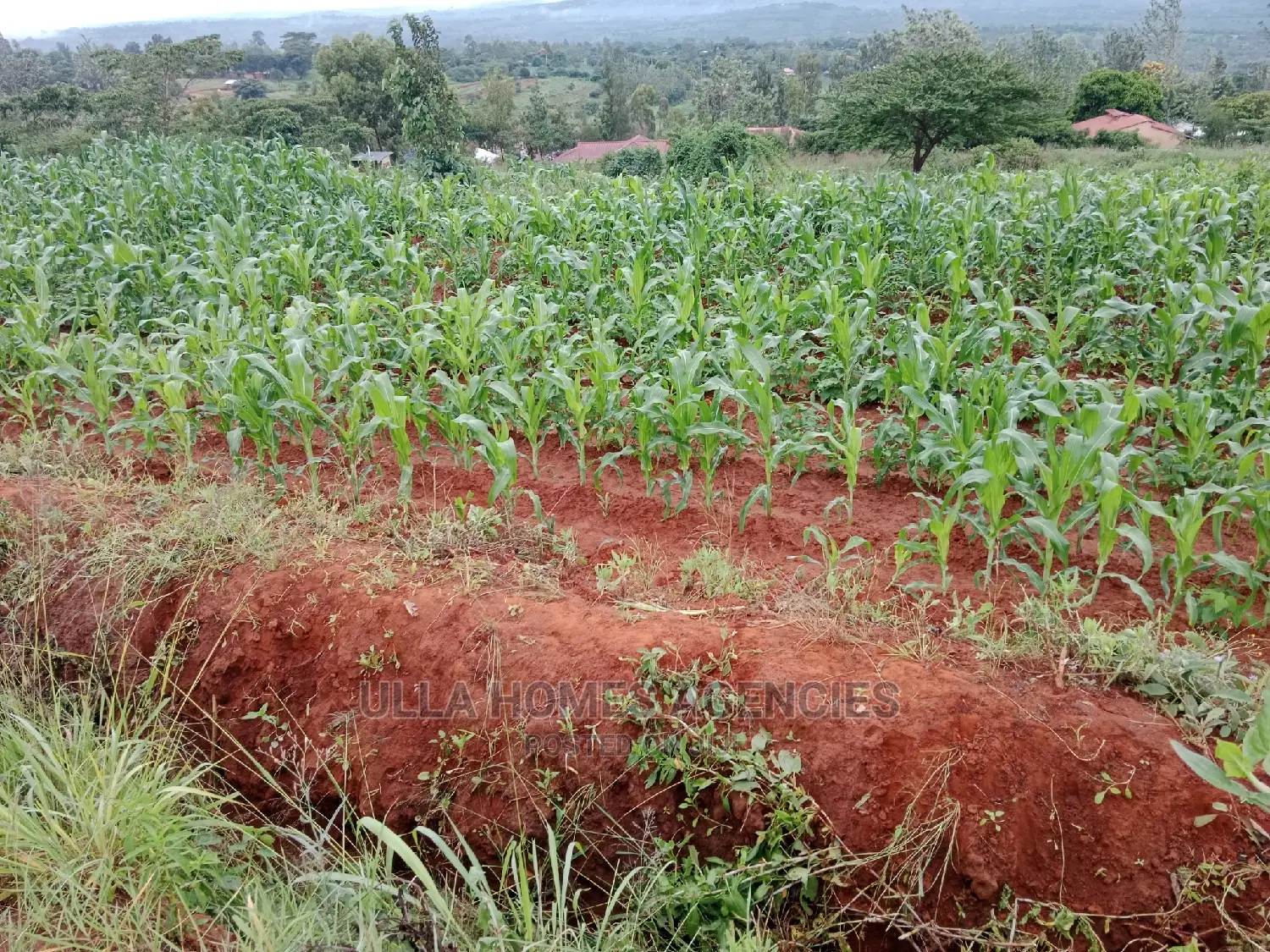 Quater Acre at Miwani Kimutwa, Machakos,Near Miwani Pri School