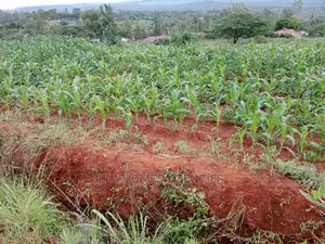 Quater Acre at Miwani Kimutwa, Machakos,Near Miwani Pri School