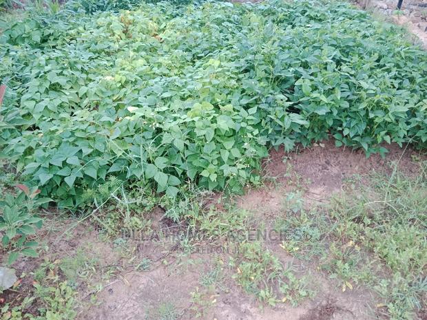 16 Acres at Muvae,Kali,Machakos - thumbnail 2