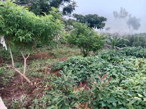 5 Acres at Makaveti,Machakos,2km From Tarmac - thumbnail 3