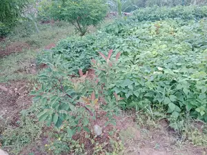 5 Acres at Makaveti,Machakos,2km From Tarmac