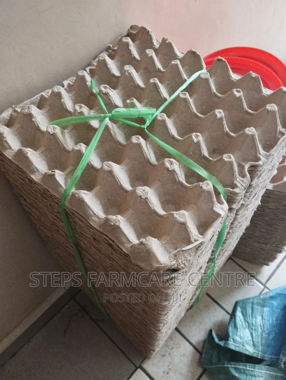 Paper Egg Trays