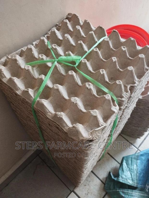 Paper Egg Trays - thumbnail 2
