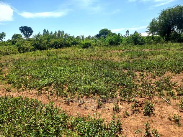 Plot for Sale Near Bondo TTI - thumbnail 3