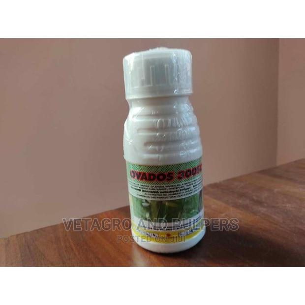 Ovados 300sc Insecticide