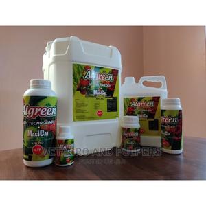 Algreen MAGICAL - thumbnail 2